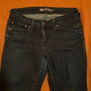 Women’s Levi's Demi Curve Modern Rise Skinny Jeans. Size 6/28